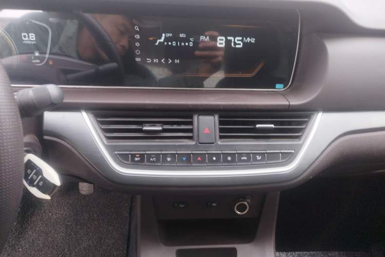 Used BAW Ruisheng Ace M7 2023 2.0L Long Wheelbase Entrepreneur Edition 2 Seats Audio And AC Panel