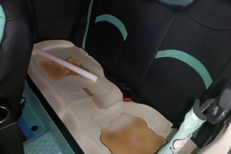 Used BAW Yuanbao 2022 Bao Meng Edition Left Rear Seat