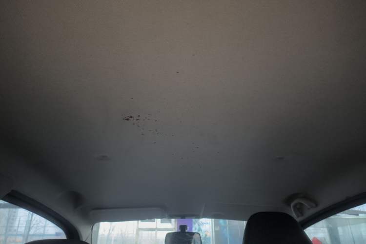 Used BAW Yuanbao 2022 Yue Meng Edition Headliner