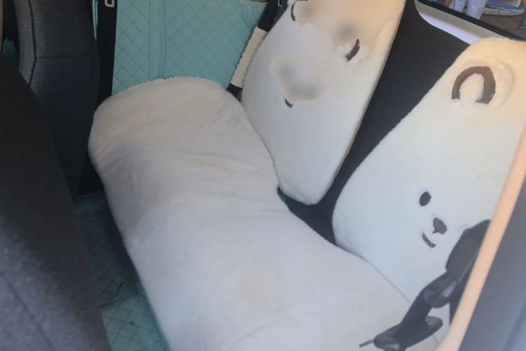 Used BAW Yuanbao 2022 Yue Meng Edition Left Rear Seat