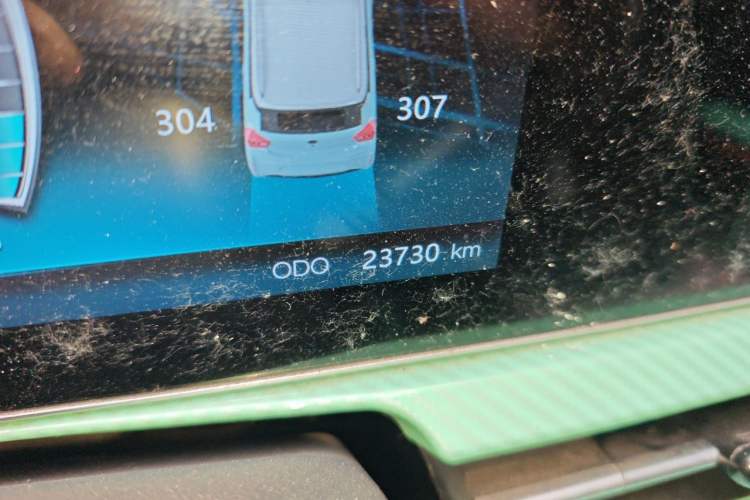 Used BAW Yuanbao 2022 Smart Version Odometer Close Up