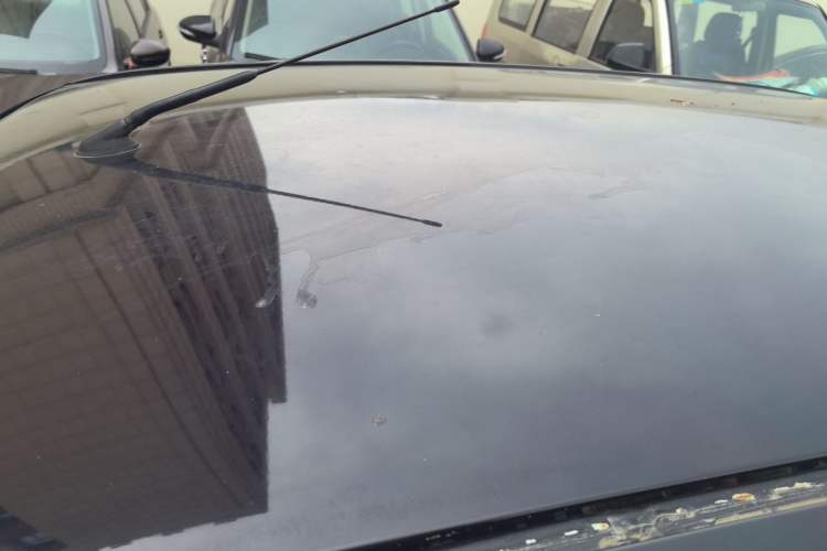 Used BAW Yuanbao 2022 Edition Pure Cute Version Roof