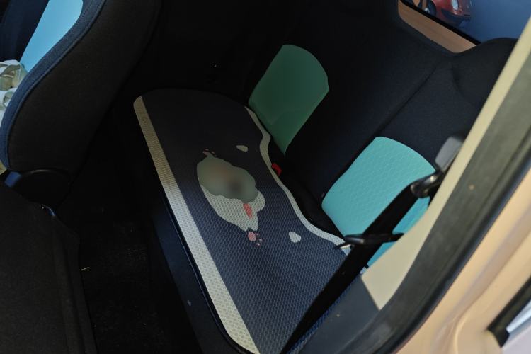 Used BAW Yuanbao 2023 Leading Edition Left Rear Seat