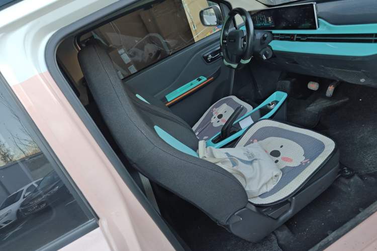 Used BAW Yuanbao 2023 Leading Edition Right Front Seat