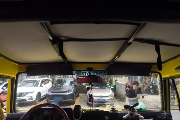 Used BAW Zhanqi 2016 2.0L Gladiator Luxury Edition China V Headliner