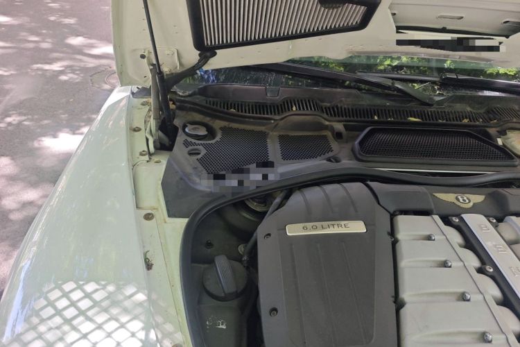 Used Bentley Continental 2004 GT 6.0 Engine Bay Right