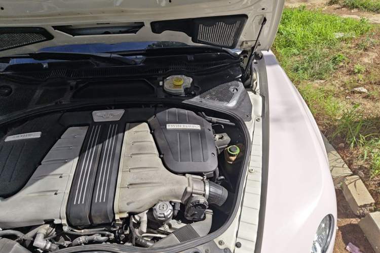 Used Bentley Continental  Engine Bay Left