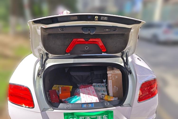 Used Bentley Continental  Trunk