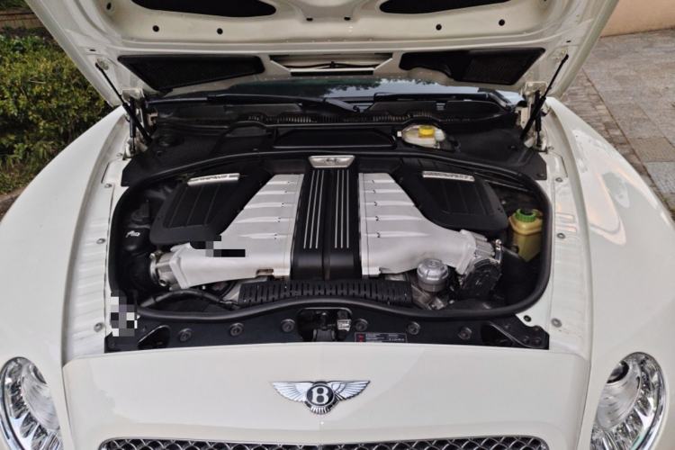 Used Bentley Continental 2012 6.0T GT W12 Engine Bay