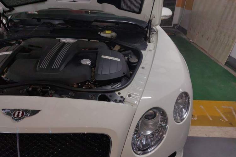 Used Bentley Continental  Engine Bay Left
