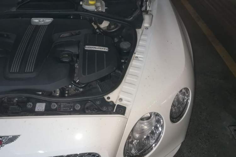 Used Bentley Continental 2015 4.0T GT V8 Standard Edition Engine Bay Left