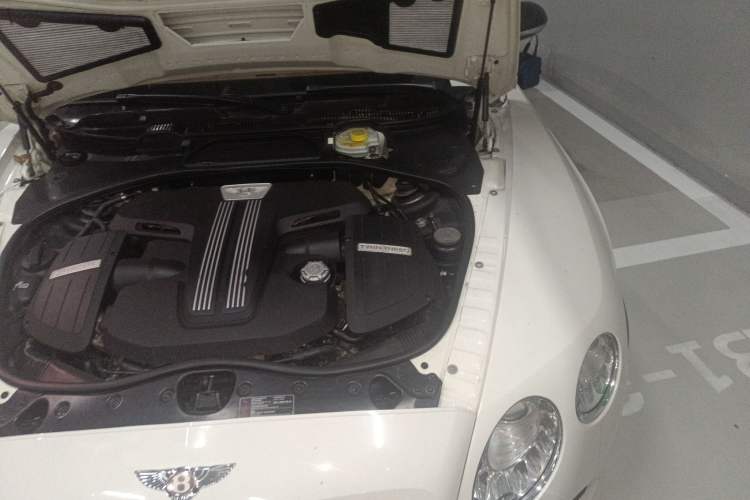 Used Bentley Continental 2015 4.0T GT V8 Standard Edition Engine Bay Left