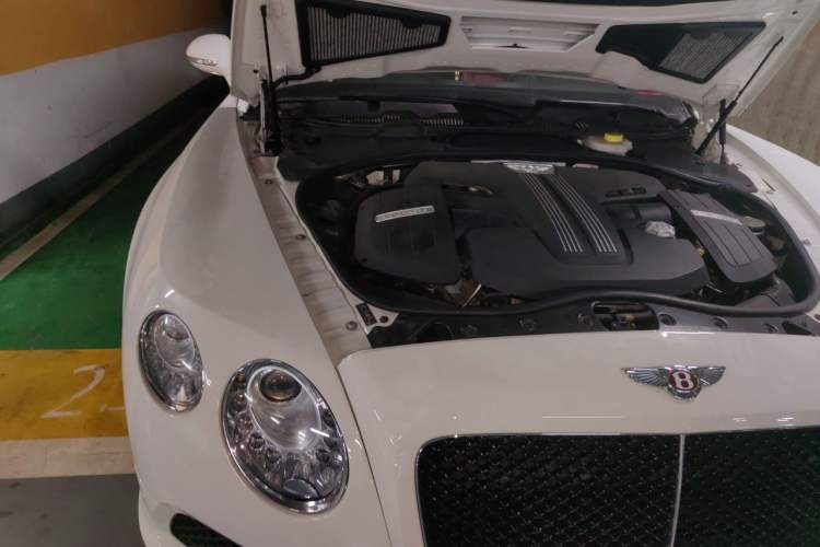 Used Bentley Continental  Engine Bay Right