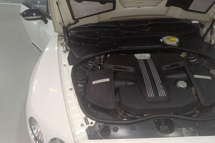 Used Bentley Continental 2015 4.0T GT V8 Standard Edition Engine Bay Right