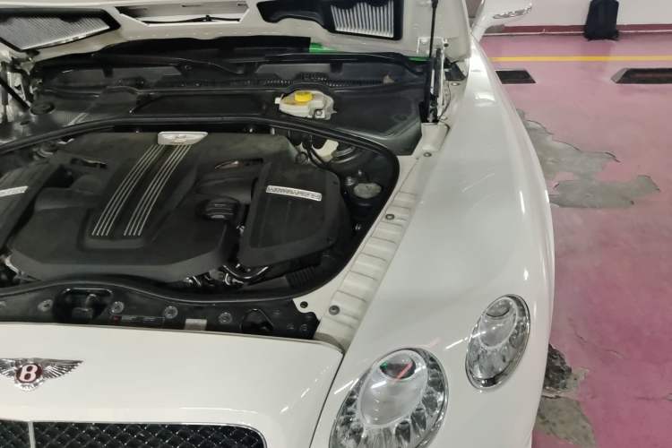 Used Bentley Continental 2016 4.0T GT V8 S Standard Edition Engine Bay Left