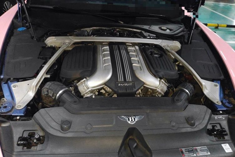 Used Bentley Continental 2018 6.0T GT W12 Engine Bay