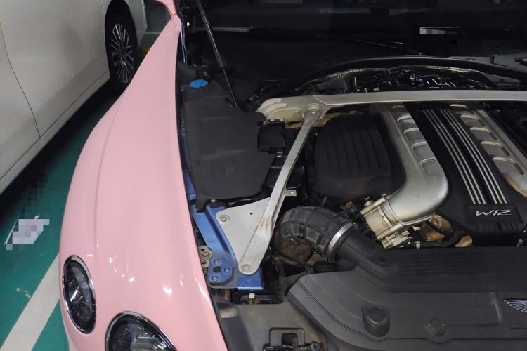 Used Bentley Continental 2018 6.0T GT W12 Engine Bay Right