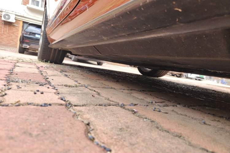 Used Bentley Continental GT  Chassis Rear Left