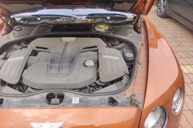 Used Bentley Continental GT  Engine Bay Left