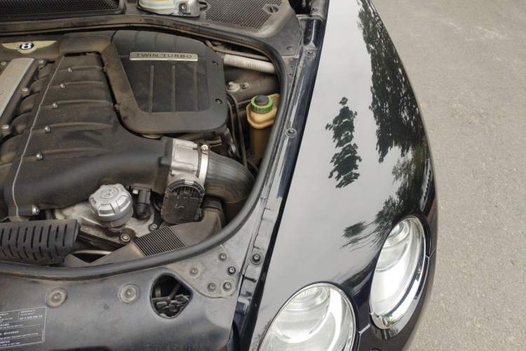 Used Bentley Flying Spur 2010 6.0T Five-Seat Version Engine Bay Left