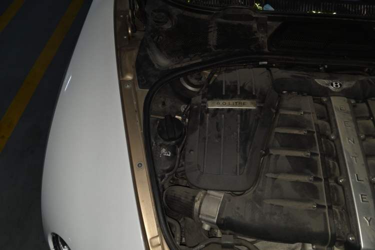 Used Bentley Flying Spur 2010 Speed China 6.0T Engine Bay Right