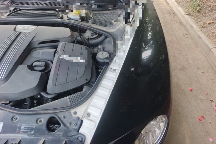 Used Bentley Flying Spur  Engine Bay Left