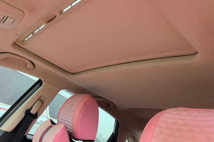 Used Bestune B30 2016 1.6L Automatic Luxury Model Headliner