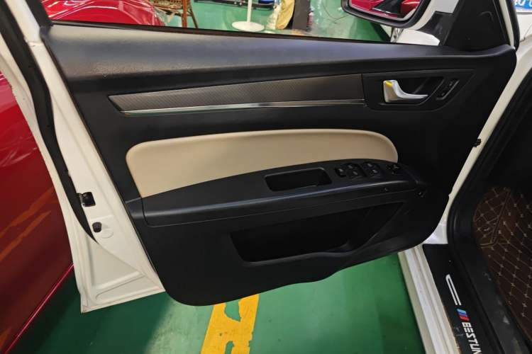 Used Bestune B30 2016 1.6L Automatic Luxury Model Left Front Door Interior