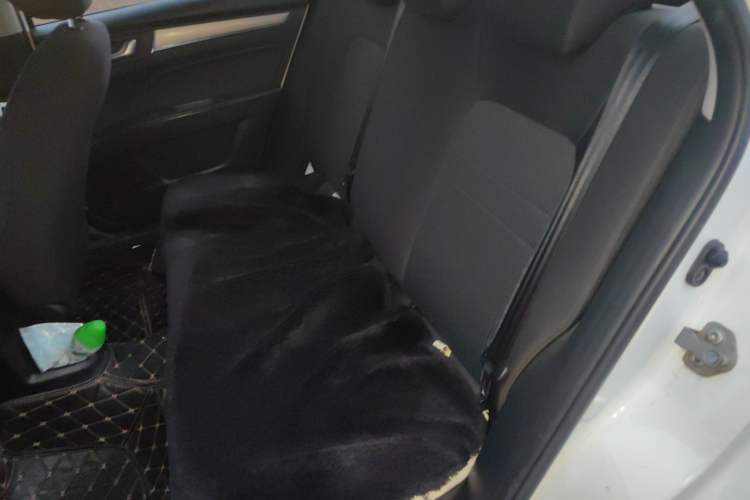 Used Bestune B30 2016 1.6L Automatic Luxury Model Left Rear Seat