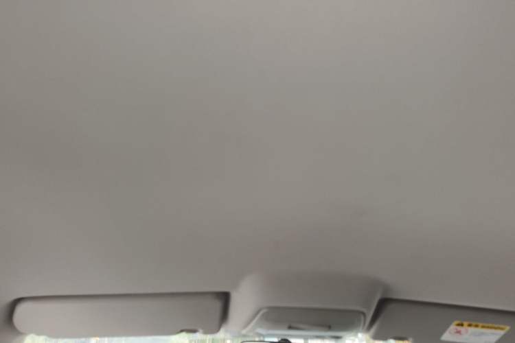 Used Bestune B30 2019 1.6L Automatic Comfort Model Headliner