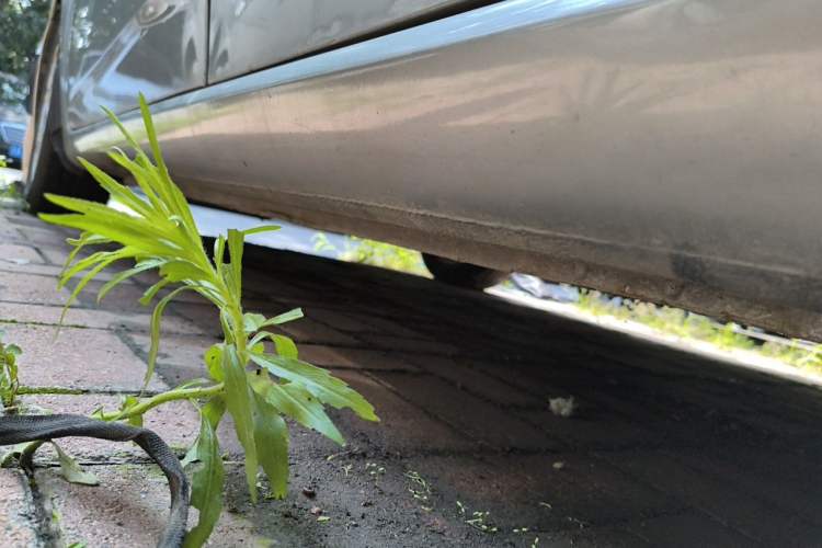 Used Bestune B50 2012 1.6L Manual Limited Edition Chassis Rear Left