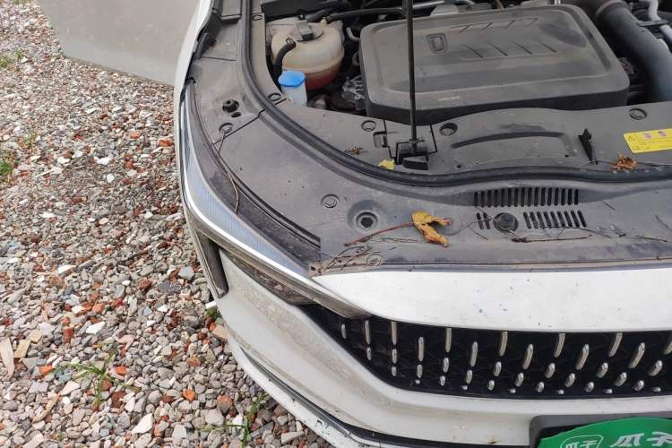 Used Bestune B70 2022 Third Generation 1.5T Automatic Enjoyment Version Right Front Headlight