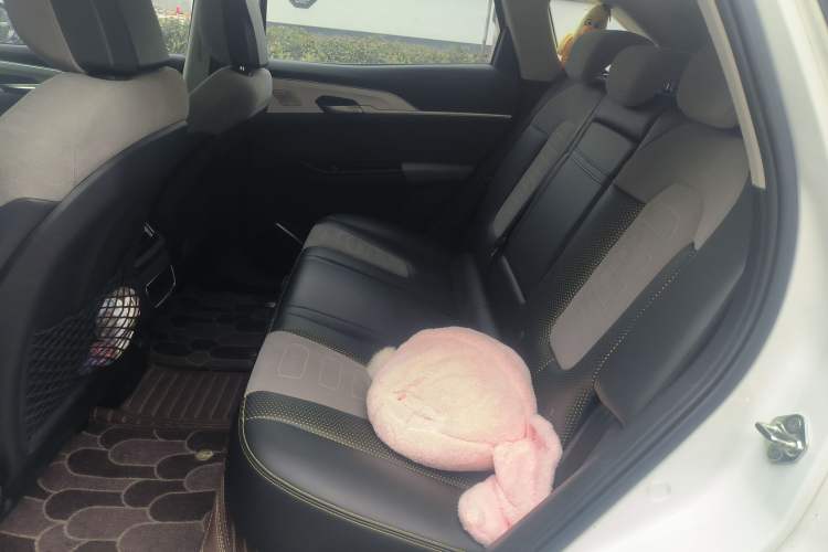 Used Bestune E01 2020 Gravitational Wave Model Left Rear Seat