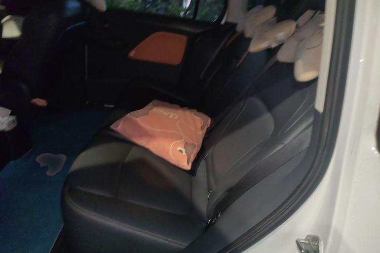 Used Bestune NAT 2022 Comfort Travel Version 100kW 419km Left Rear Seat