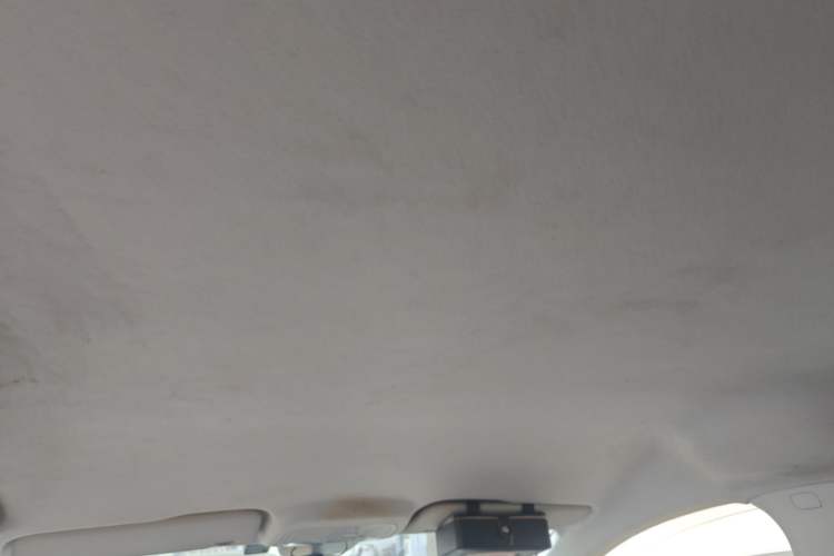 Used Bestune NAT 2022 Comfort Travel Version 100kW 419km Headliner