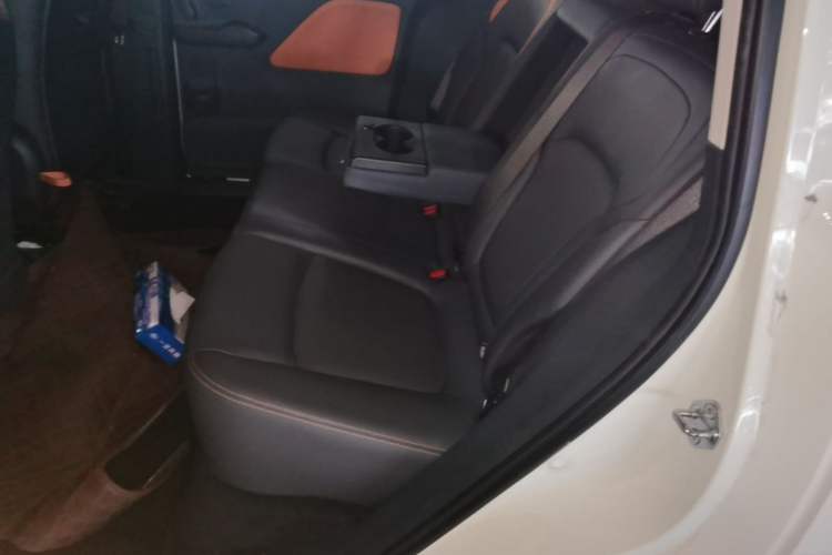 Used Bestune NAT 2022 Comfort Travel Version 100kW 419km Left Rear Seat