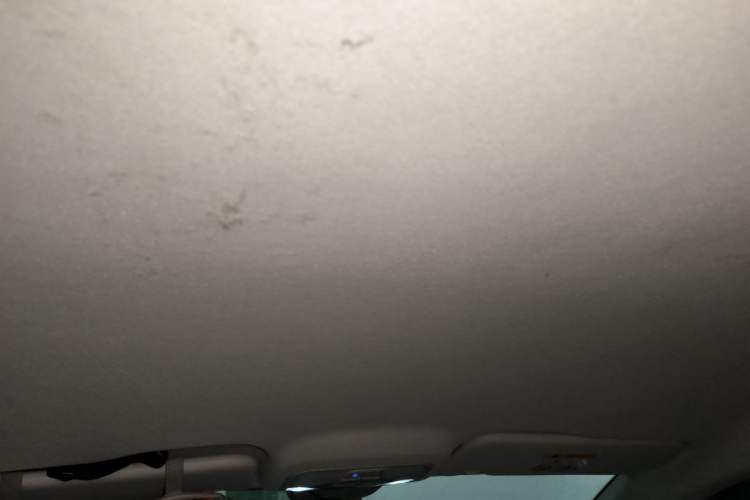 Used Bestune NAT 2023 PRO Enjoy Travel Edition 425km Headliner