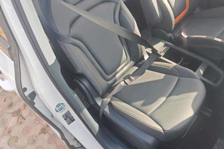 Used Bestune NAT 2023 PRO Comfort Travel Edition 419km Right Front Seat