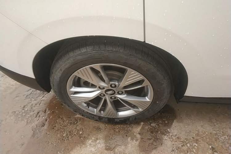 Used Bestune NAT 2023 PRO Enjoy Travel Battery-Swap Version 401km Right Rear Wheel Hub