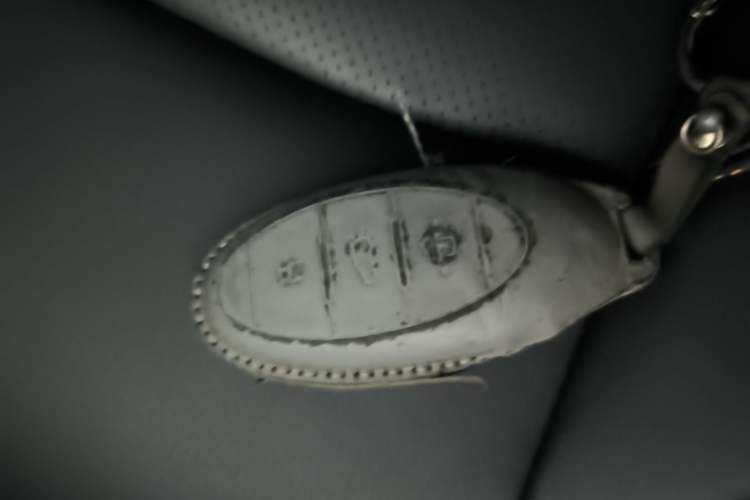 Used Bestune NAT 2023 PRO Enjoy Travel Edition 425km Vehicle Key