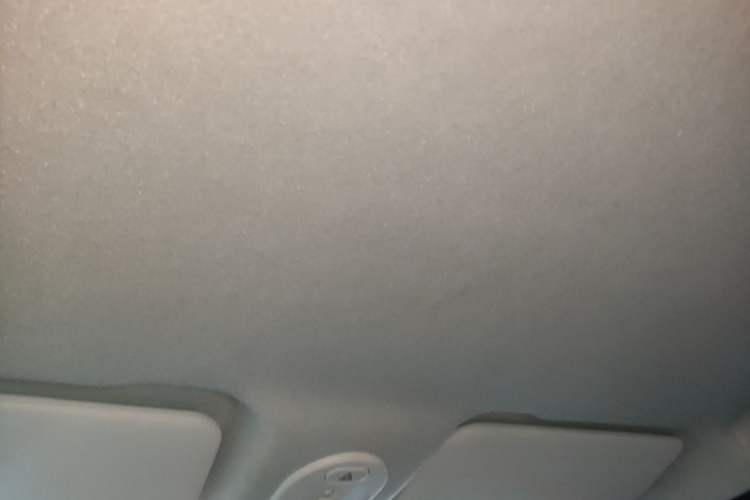 Used Bestune Pony 2024 170km Vitality Horse Headliner