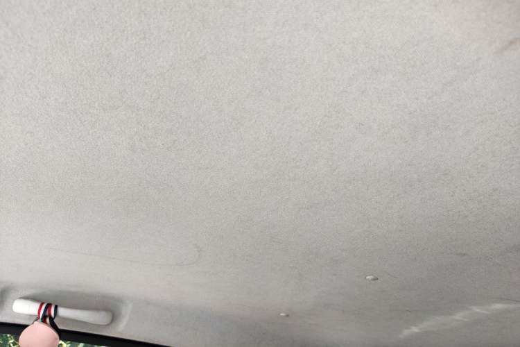 Used Bestune Pony 2024 170km Vitality Horse Headliner