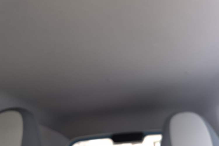 Used Bestune Pony 2024 170km Vitality Horse Headliner