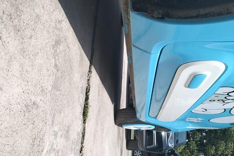 Used Bestune Pony 2024 170km Vitality Horse Left Side Sill