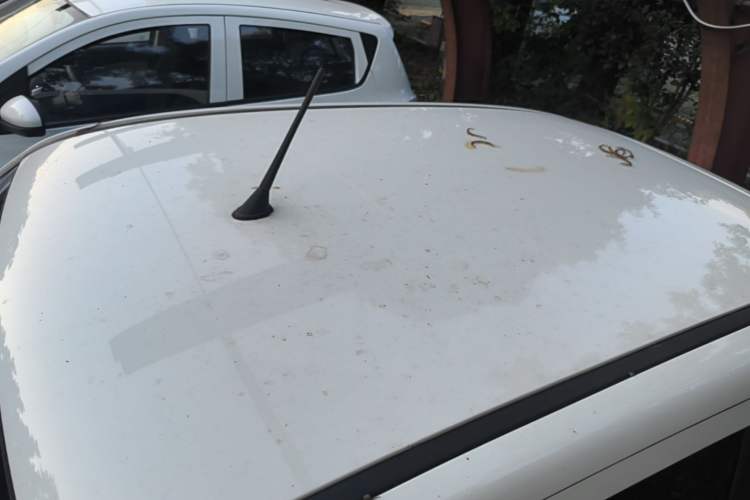 Used Bestune Pony 2024 170km Vitality Horse Roof