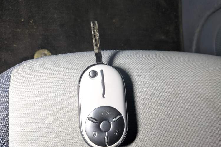 Used Bestune Pony 2024 170km Range Energizing Horse Vehicle Key