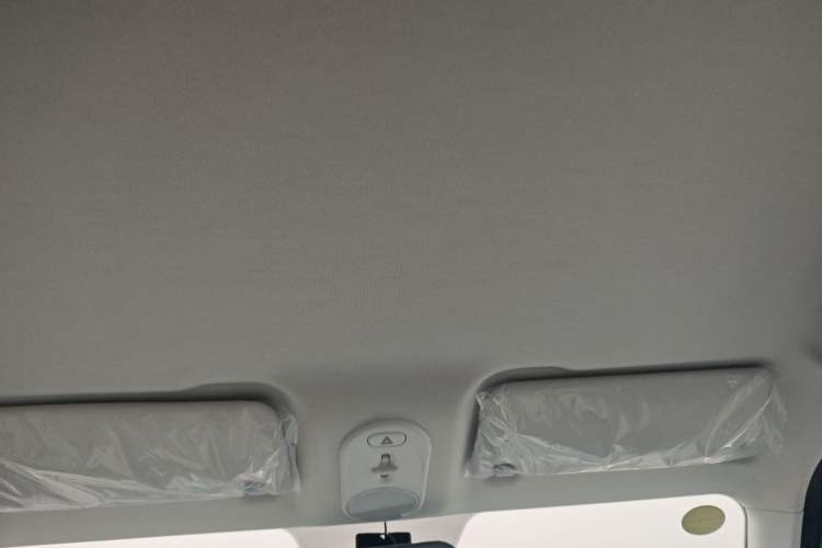 Used Bestune Pony 2024 170km Vitality Horse Headliner