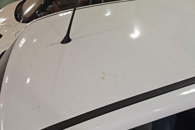 Used Bestune Pony 2024 170km Vitality Horse Roof