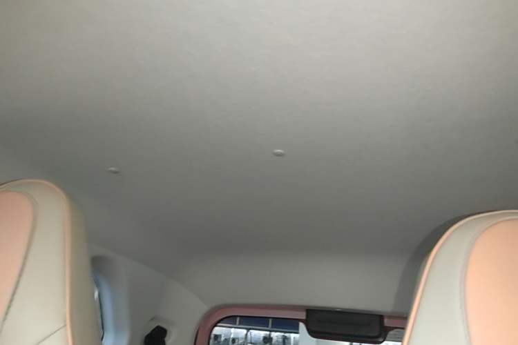 Used Bestune Pony 2024 170km Vitality Horse Headliner