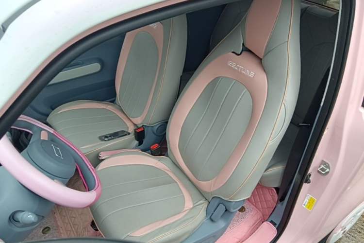 Used Bestune Pony 2024 170km Range Energizing Horse Left Front Seat